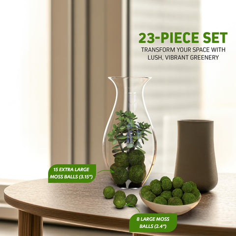 AISLE 3 ESSENTIALS extra-large moss ball 3.15-inch for dramatic centerpieces