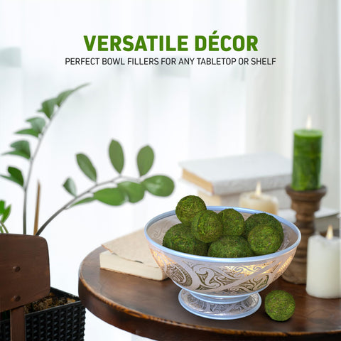 AISLE 3 ESSENTIALS moss ball vase filler adds year-round greenery