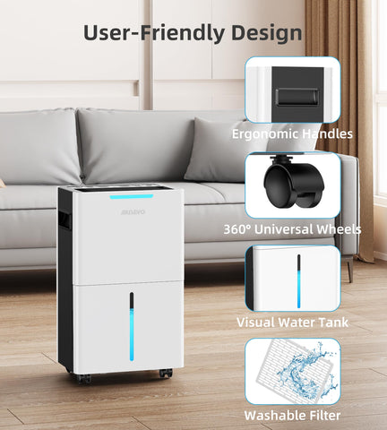 Aiusevo basement setup with dehumidifier keeps spaces dry and comfortable.