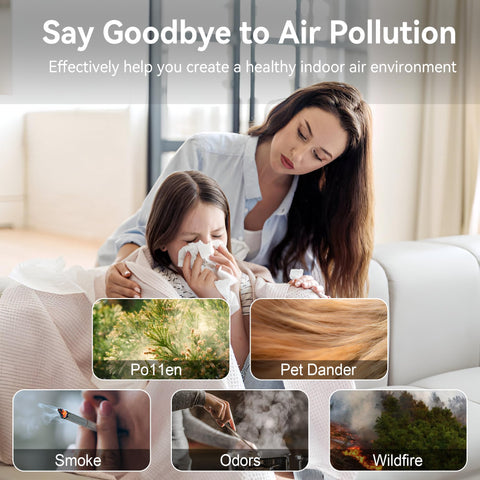 AIUZLK P260 filter reminder and child lock for safe use.