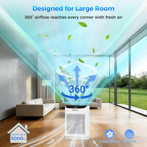 Akeelia PM2.5 sensor real-time display supports proactive air quality adjustments