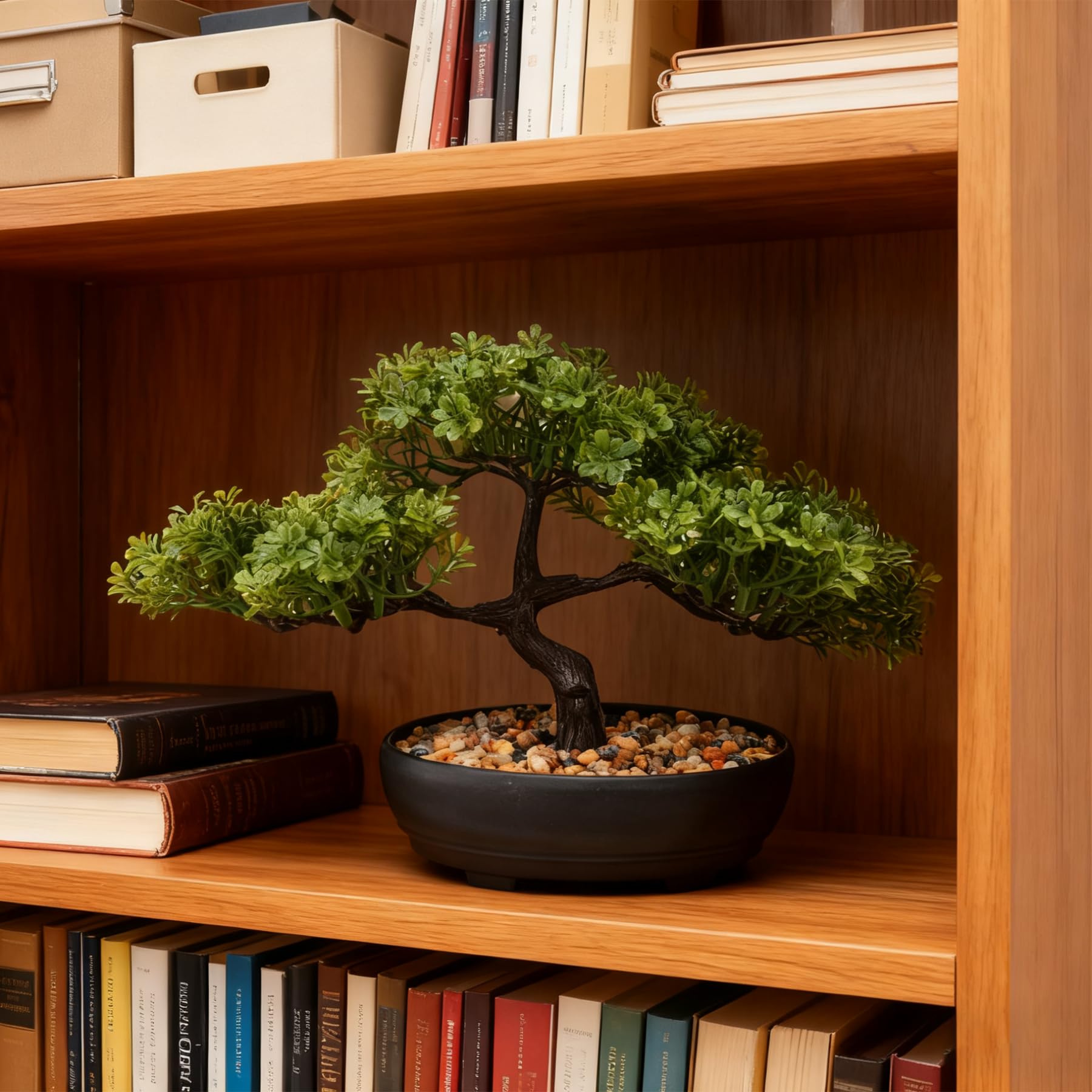 ALAGIRLS prosperity-symbol bonsai subtly signals progress in rooms