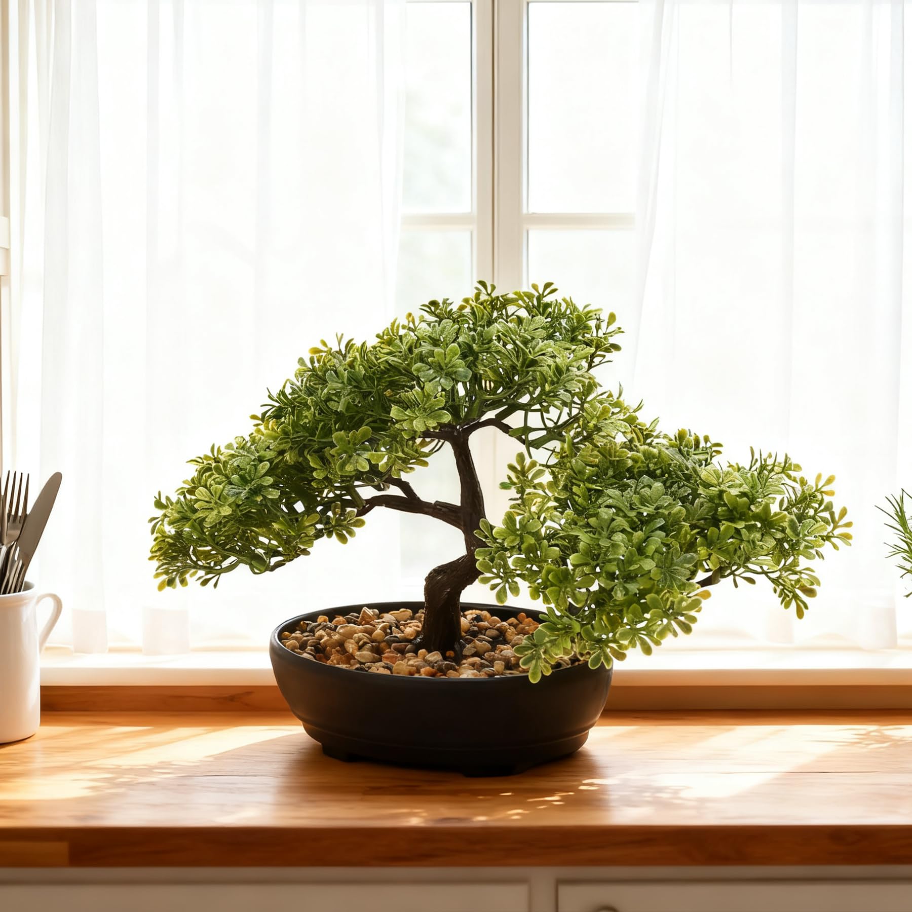 ALAGIRLS low-maintenance bonsai fits compact spaces without care