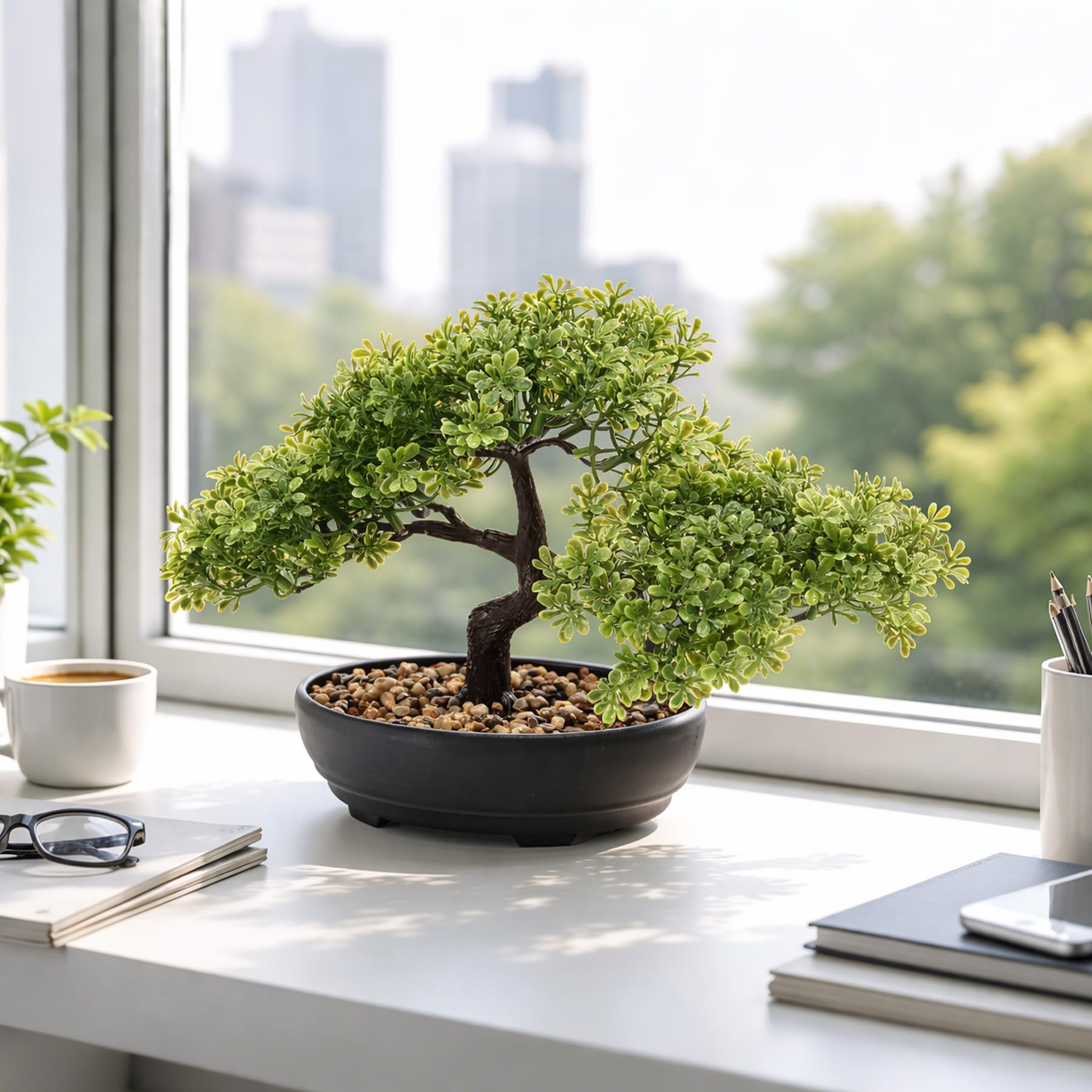 ALAGIRLS office-decor bonsai collection enhances shelves and counters