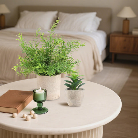 ALAGIRLS office desk decor plant set for tidy surfaces