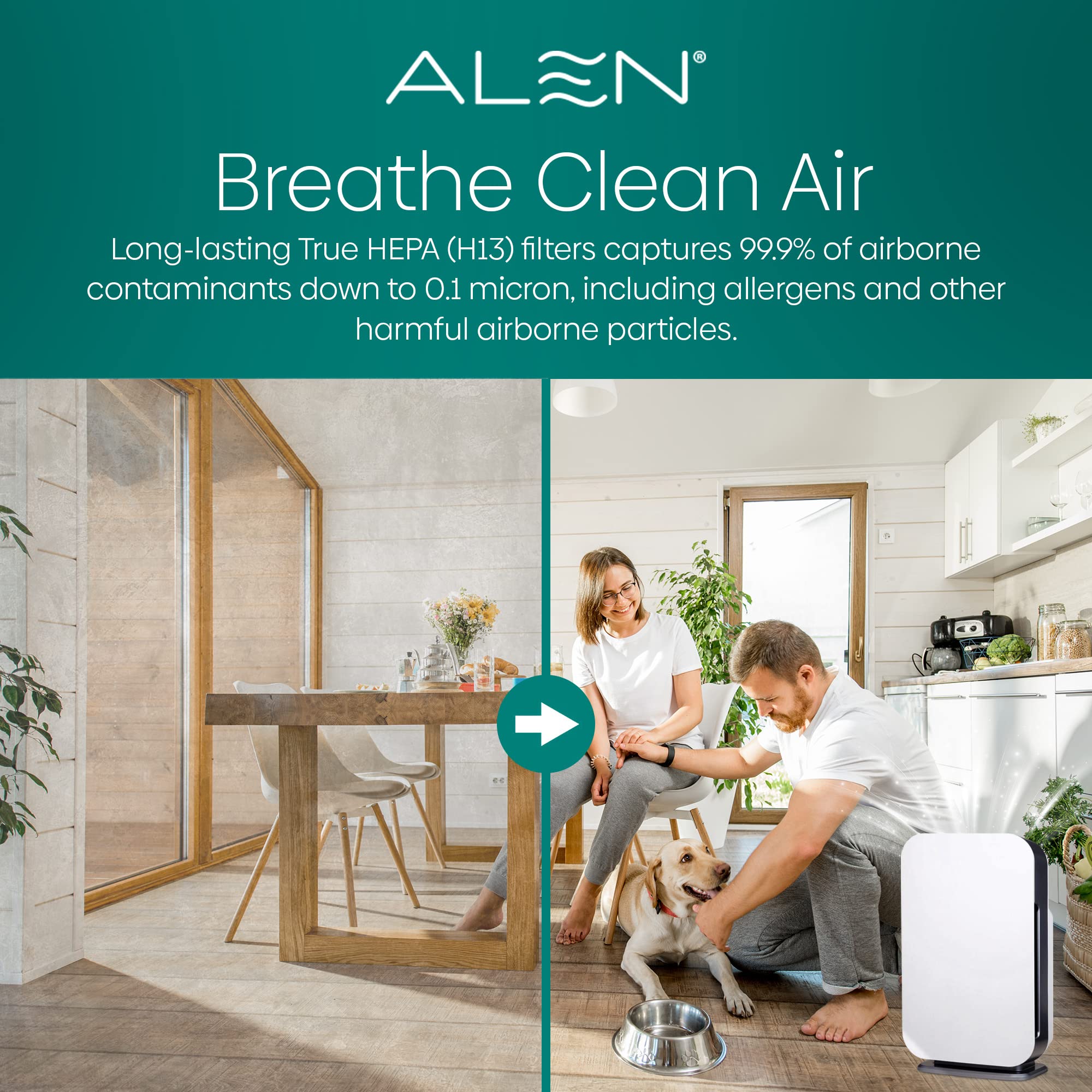Dust, mold, and pet dander capture with Alen filter in action