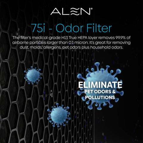 Long-lasting Alen filter designed for 12–15 months of use