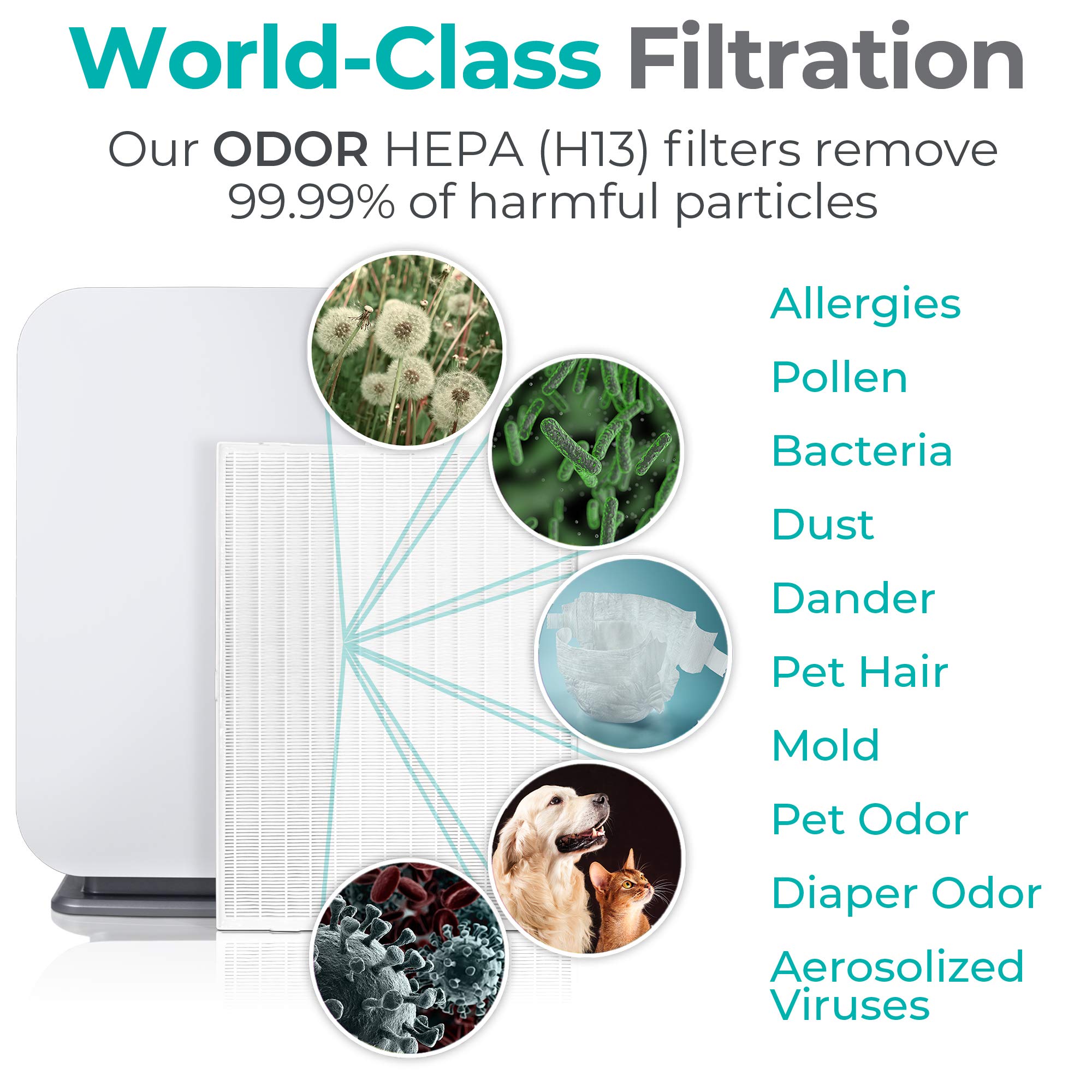 Secure airflow frame and gaskets prevent leaks for thorough cleaning