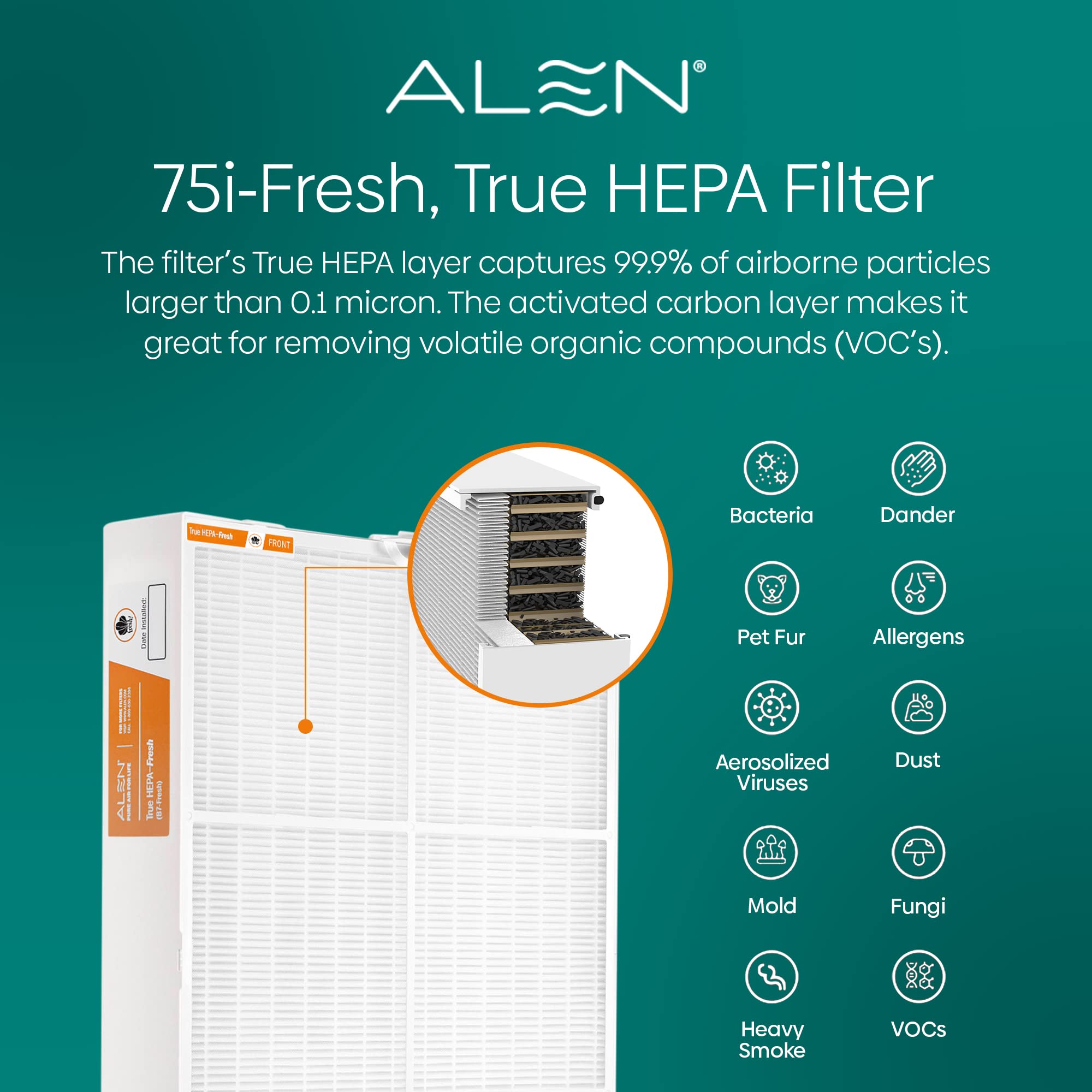 Alen B7-Fresh filter side view highlights slim profile and seals