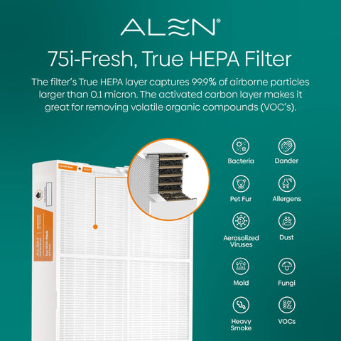 Alen B7-Fresh filter side view highlights slim profile and seals