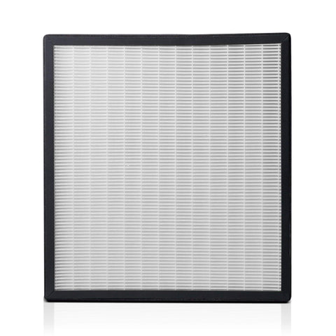 Alen filter targets dust dander and pollen for allergen relief.