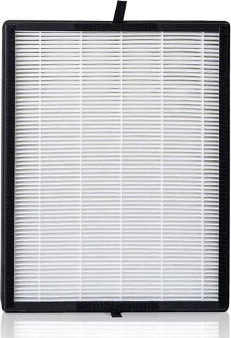 Filter installed in BreatheSmart 45i/Flex for steady air quality.