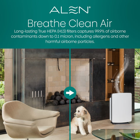 Alen H13 filter captures 99.9% of particles larger than 0.1 micron.