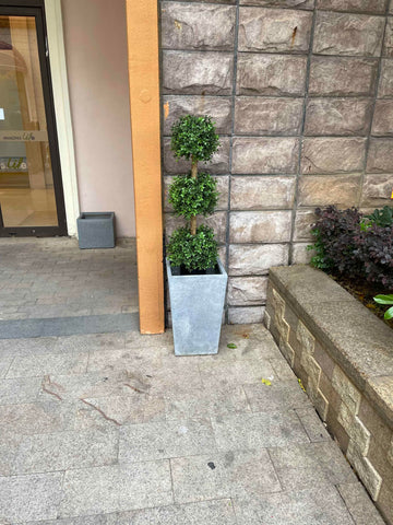 ALL SEASON GREEN adjustable boxwood topiary branches, shape to fit your space.