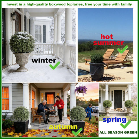 ALL SEASON GREEN outdoor indoor boxwood ball topiary for versatile decor.
