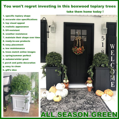 ALL SEASON GREEN pre-potted topiary in a 7x6 inch container.