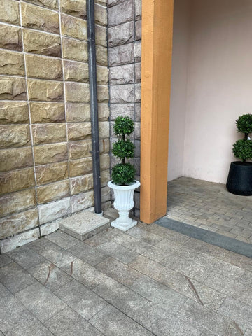 ALL SEASON GREEN 3ft boxwood topiary in sunlight, UV resistant for long-lasting greenery.