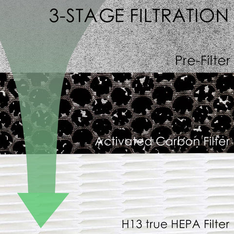 Allisfresh 2-in-1 filtration graphic highlighting particle capture and odor reduction.