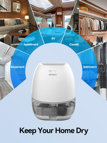 AlohaAir portable dehumidifier with built-in handle for easy placement