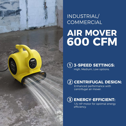 ALORAIR GF600A control panel highlights three-speed airflow options
