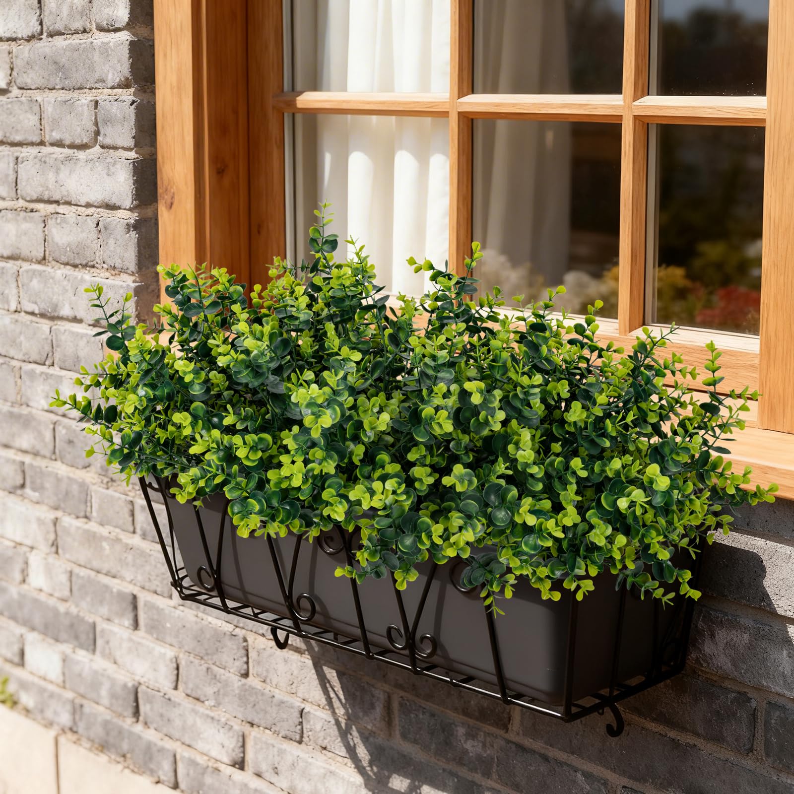 ALOXA 12-bundle pack shown in a window garden setup for instant fullness.