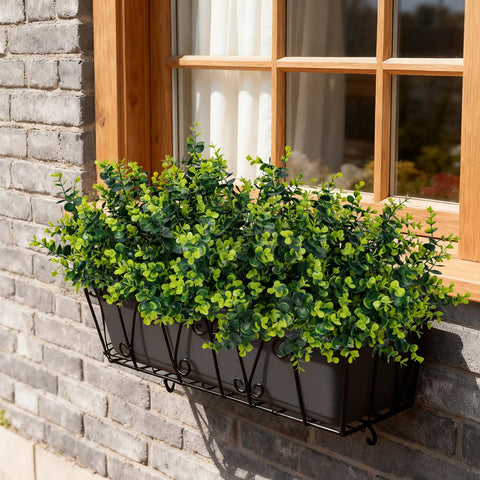 ALOXA 12-bundle pack shown in a window garden setup for instant fullness.