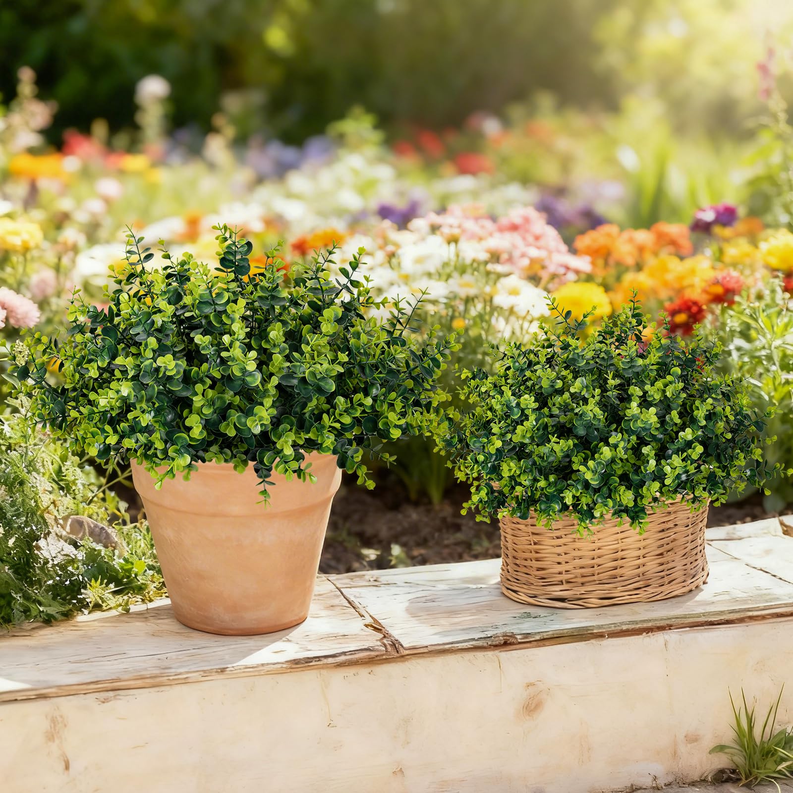 ALOXA 17-inch shrubs bring greenery to terraces without watering.