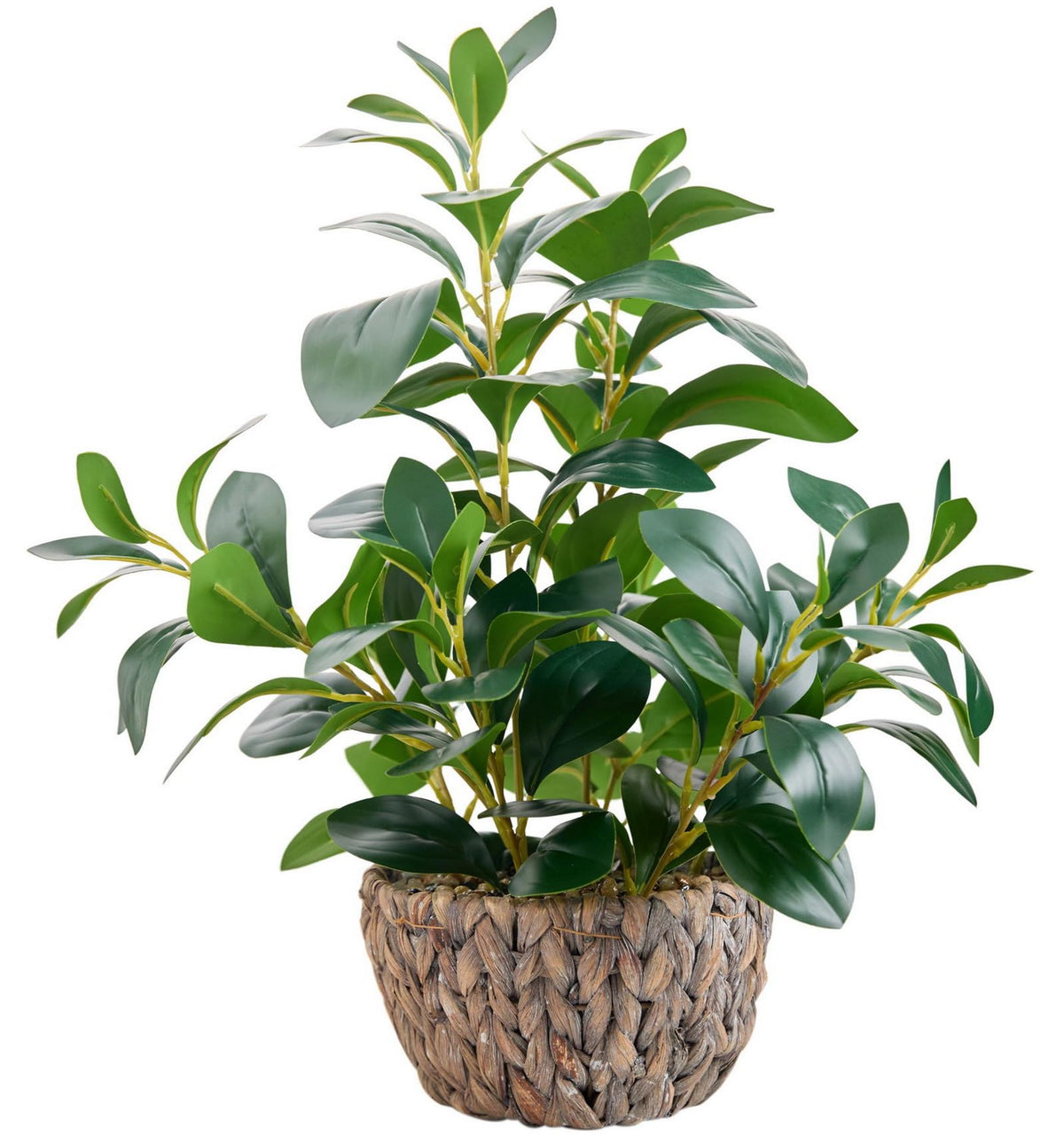 AlphaAcc Ficus 18.8-inch full view showcases lush foliage for versatile room styling.