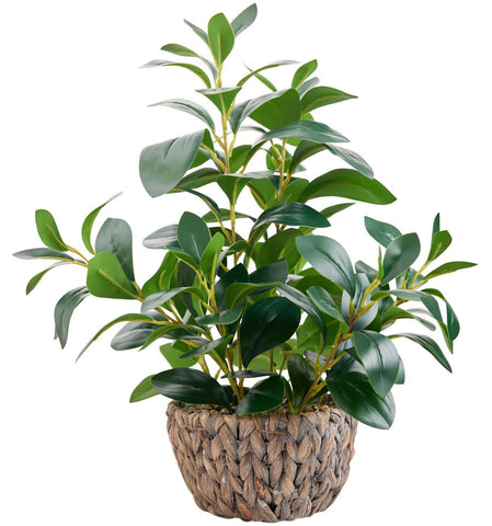 AlphaAcc Ficus 18.8-inch full view showcases lush foliage for versatile room styling.