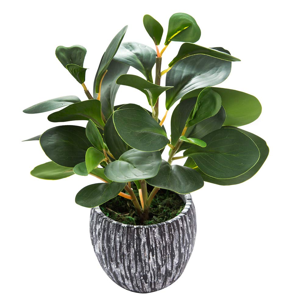 AlphaAcc fiddle leaf fig plant close-up showing lifelike leaves for home decor