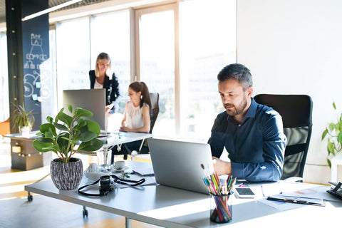 AlphaAcc desk decor setup with plant boosts office ambiance