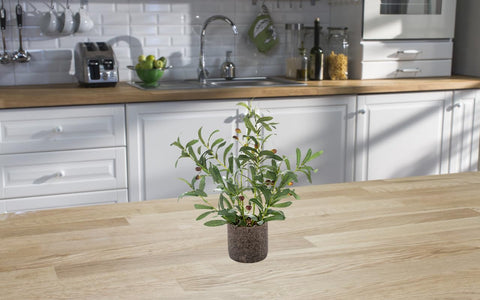 AlphaAcc cement planter with olive branches adds rustic flair.