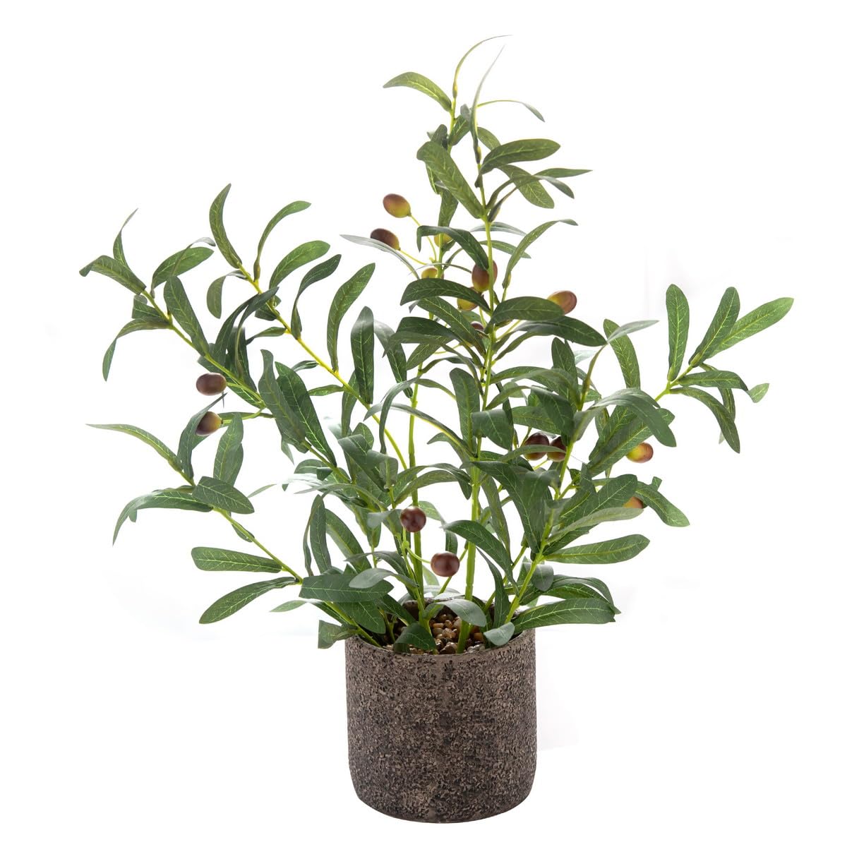 AlphaAcc olive branch leaves close-up for lifelike indoor ambiance.