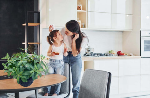 AlphaAcc compact plant fits small spaces like shelves and vanities