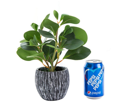 AlphaAcc cement planter adds rustic-modern flair to decor