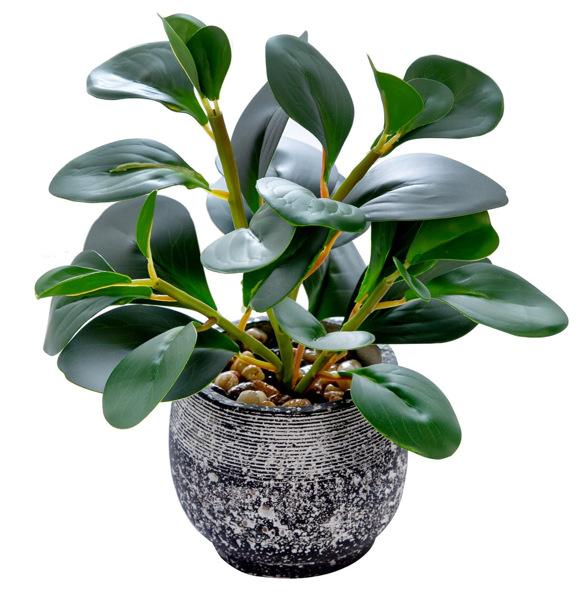 AlphaAcc artificial ficus in cement pot for indoor decor