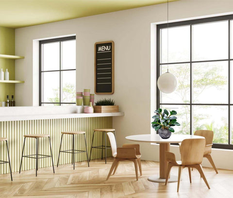 AlphaAcc compact faux greenery for shelves and desks
