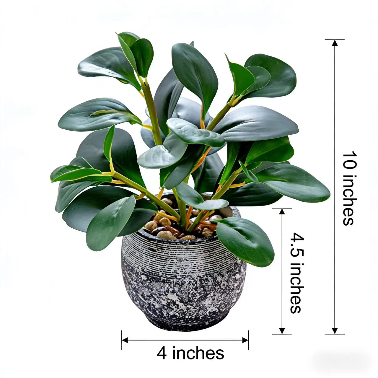 AlphaAcc ficus topiary in rustic black planter for shelves