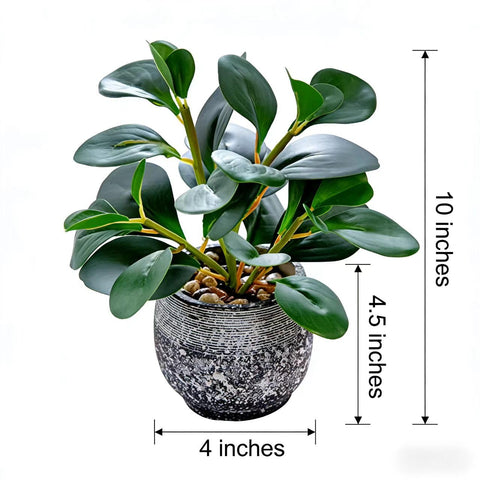 AlphaAcc ficus topiary in rustic black planter for shelves