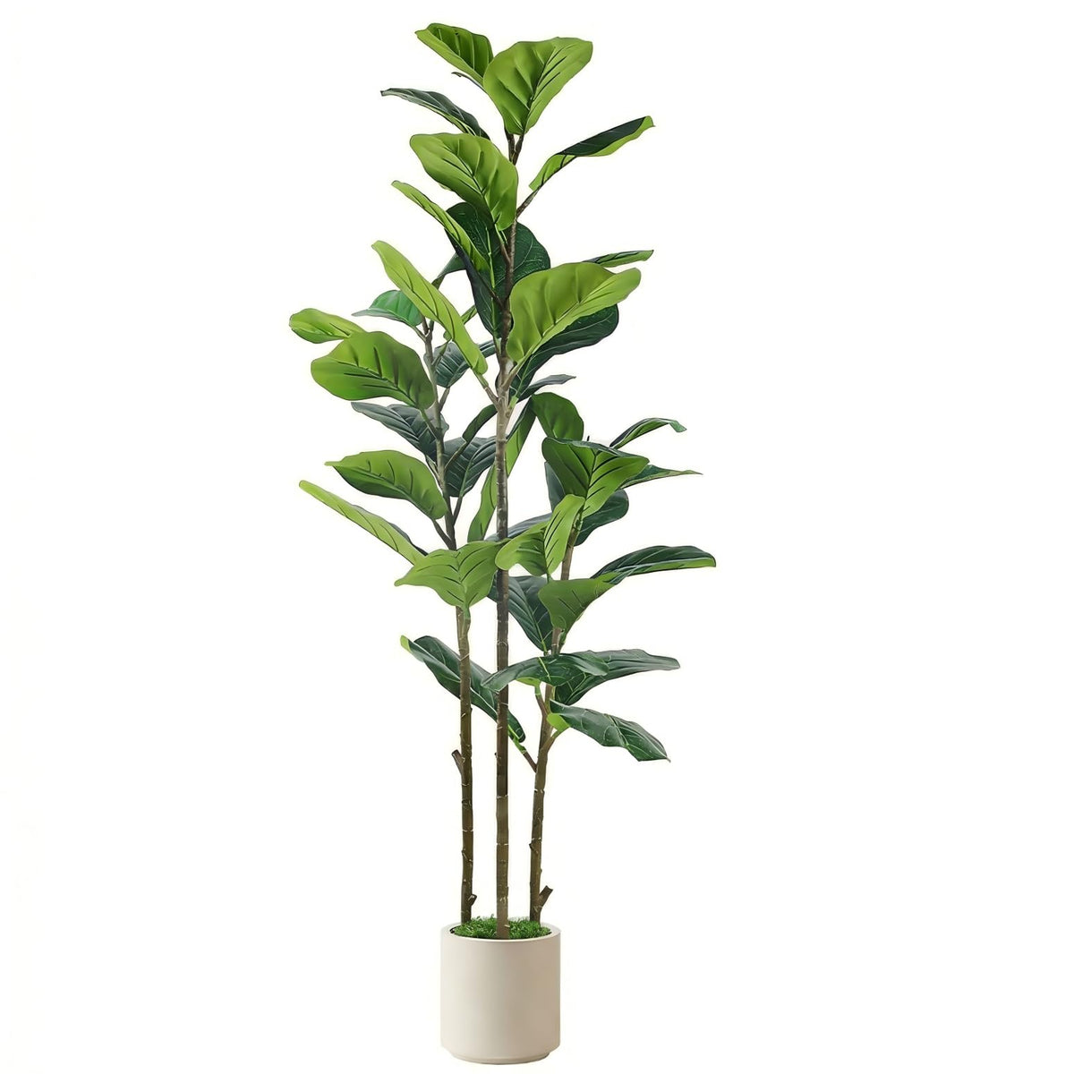 Alupssuc 5ft fiddle leaf fig tree with white planter adds year-round elegance to living spaces.