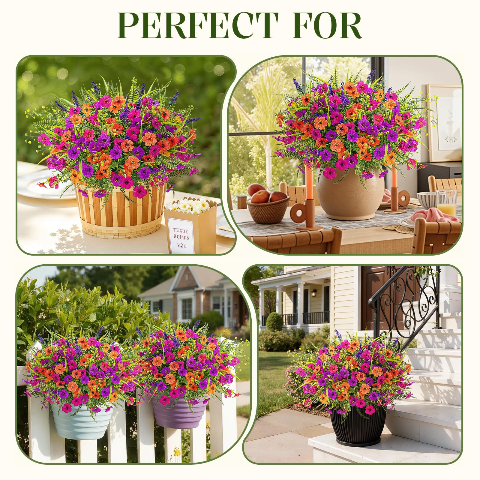 Alupssuc versatile flowers brighten windowsills and indoor spaces