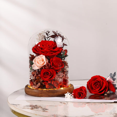 Alupssuc elegant decor setup for shelf or desk