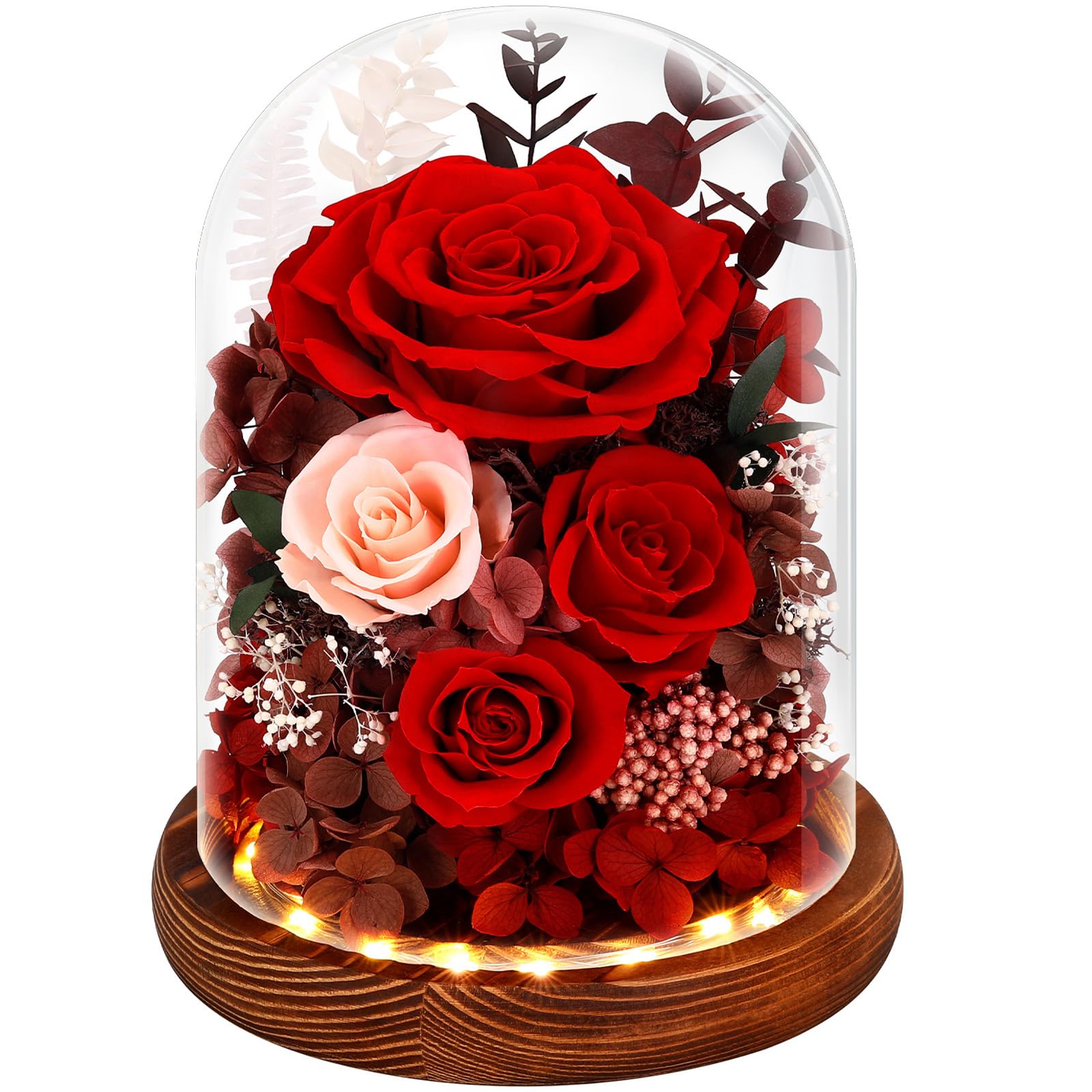 Alupssuc Forever Flowers in a glass dome with LED glow on a stylish display
