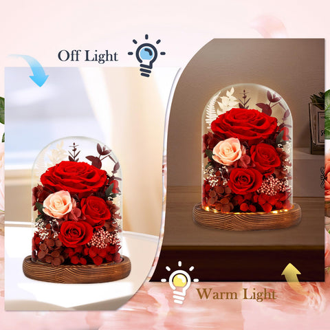 Alupssuc LED-lit base enhances mood with soft glow