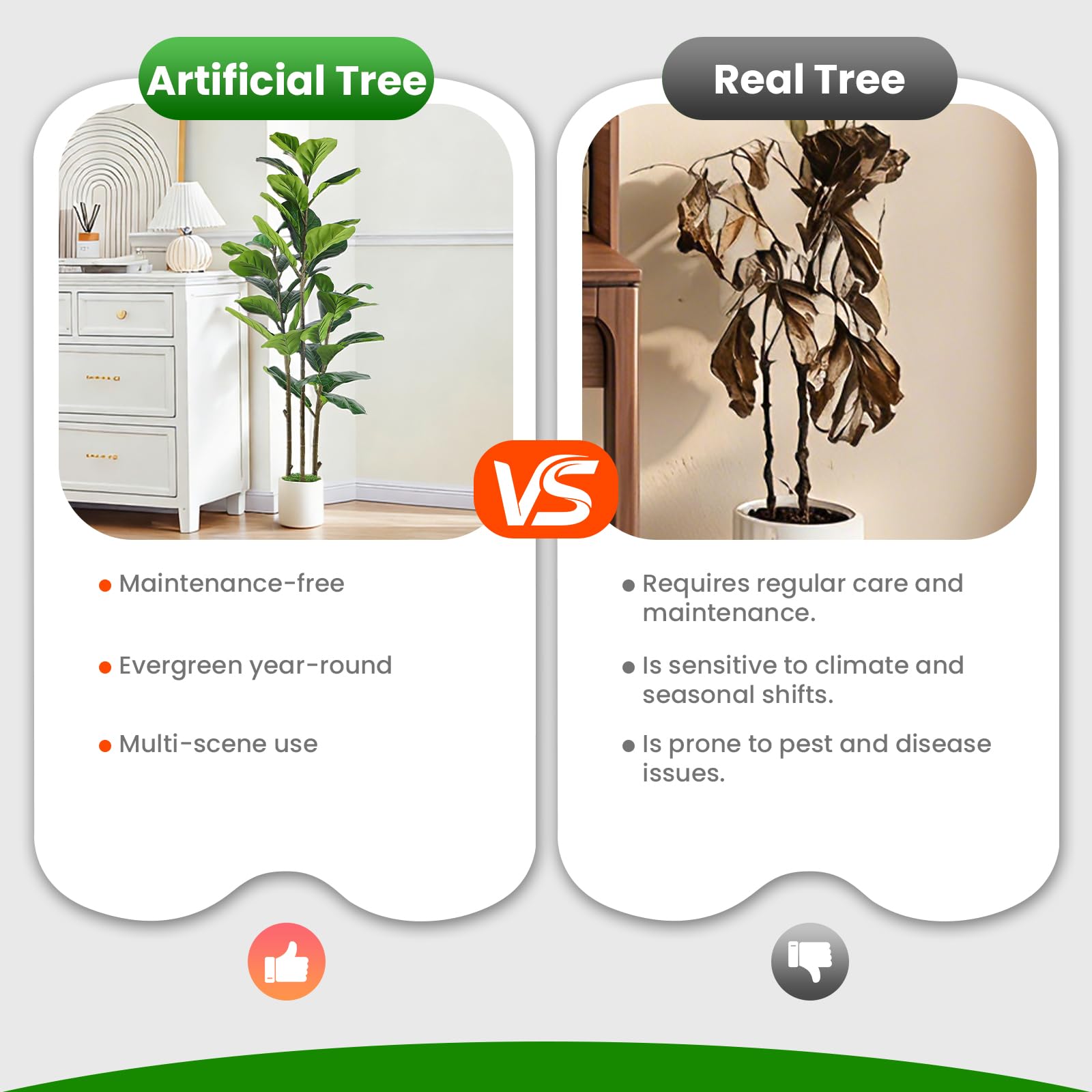 Alupssuc indoor-outdoor friendly decorative plant for foyers, offices, and patios.