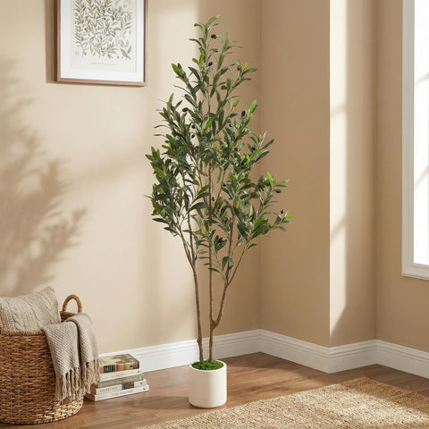 Alupssuc 5ft olive-tree assembled ready for display.