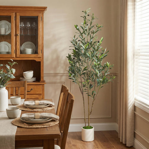 Alupssuc 5ft olive-tree black-pot setup ready for immediate display.