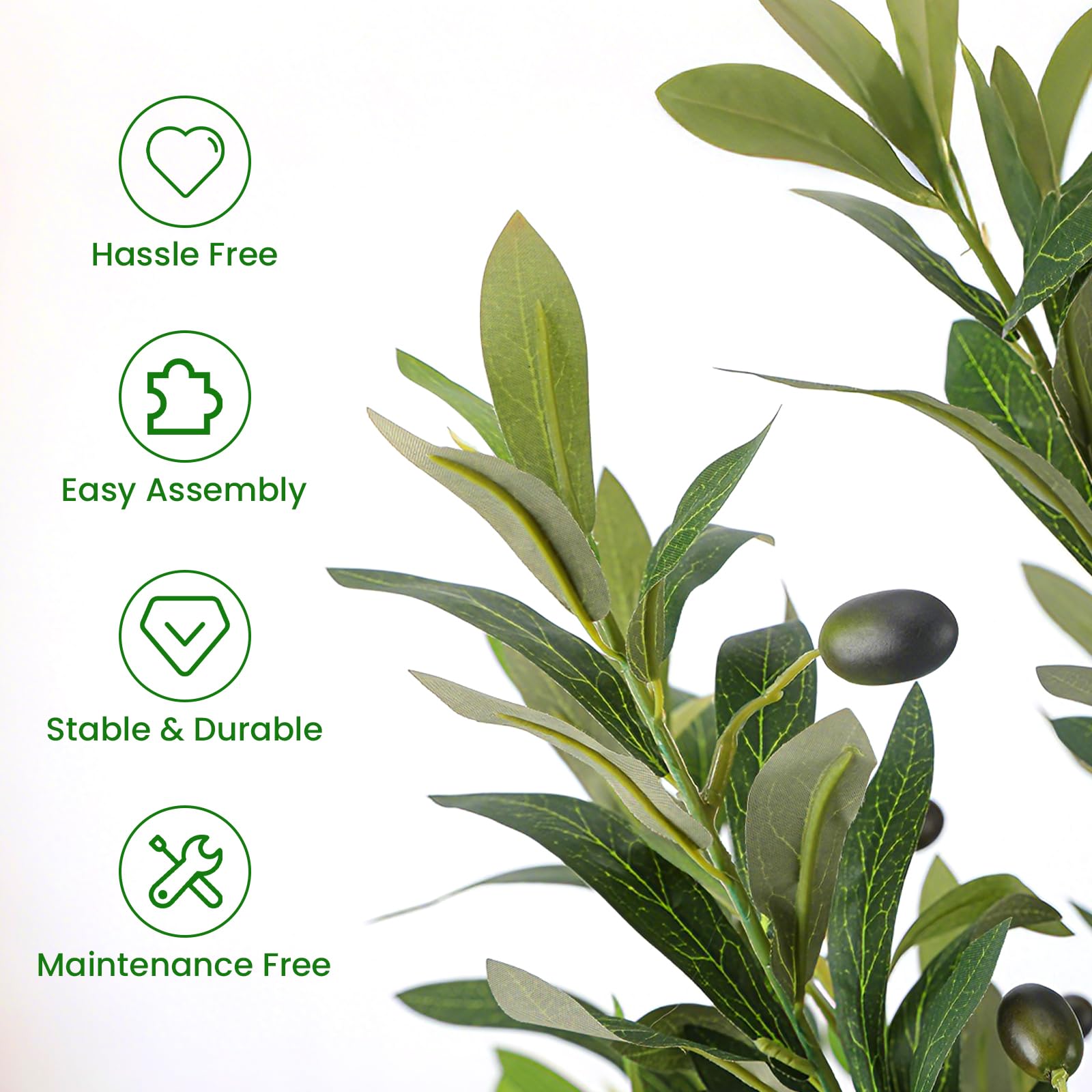 Alupssuc 5ft olive-tree fruits close-up reveals authentic olives for a vivid display.