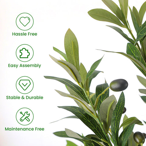 Alupssuc 5ft olive-tree fruits close-up reveals authentic olives for a vivid display.