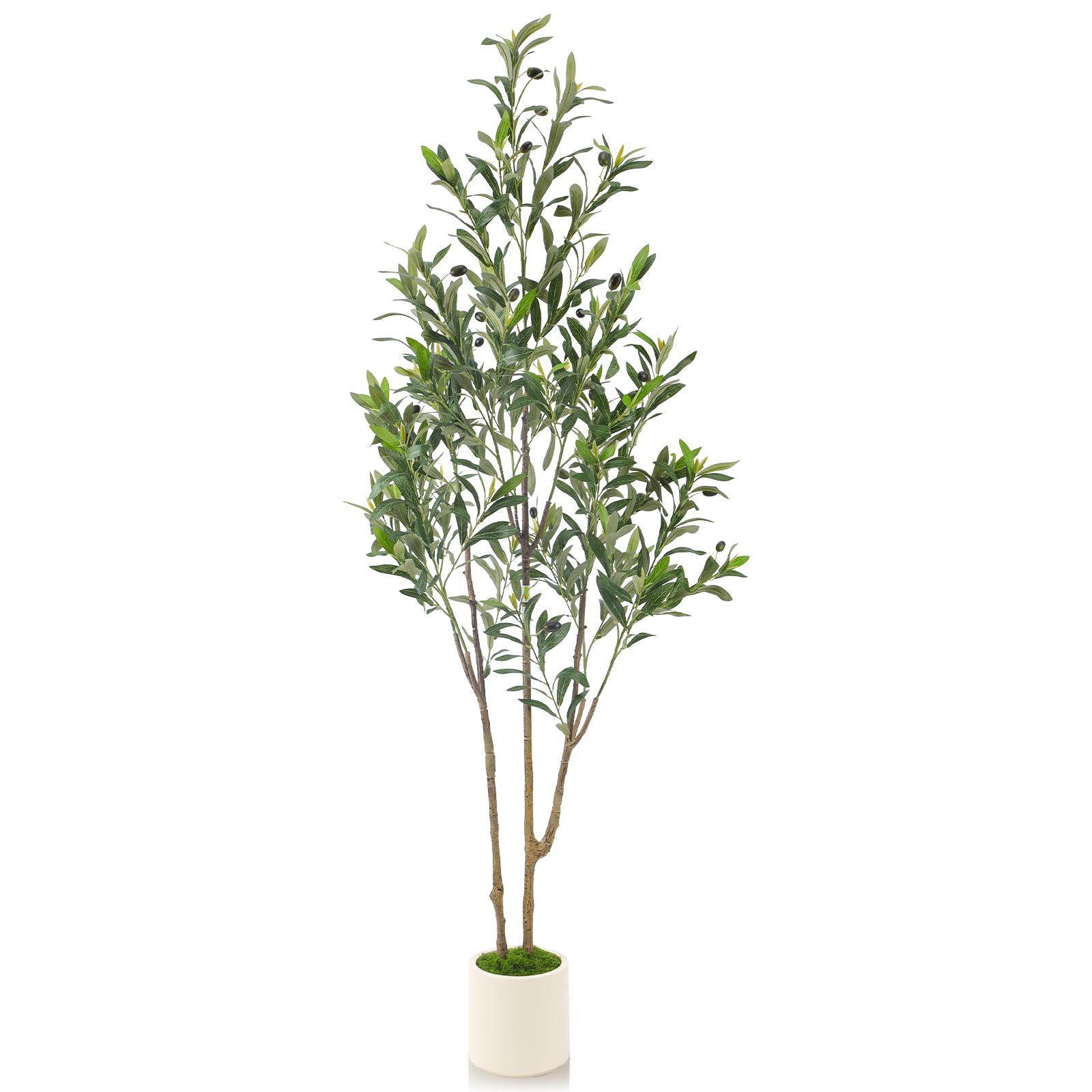 Alupssuc 5ft olive-tree trunk close-up shows realistic texture for elegant spaces.